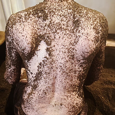 病中病後の回復